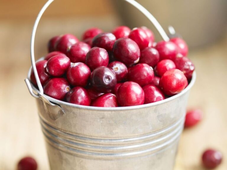 Can You Eat Raw Cranberries