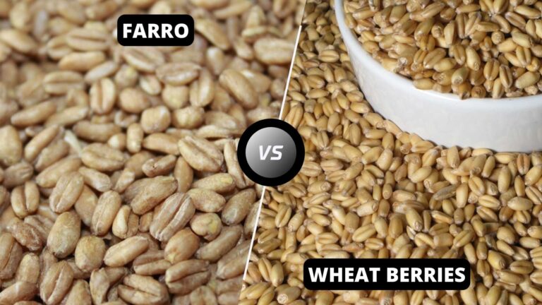 Farro vs Wheat Berries