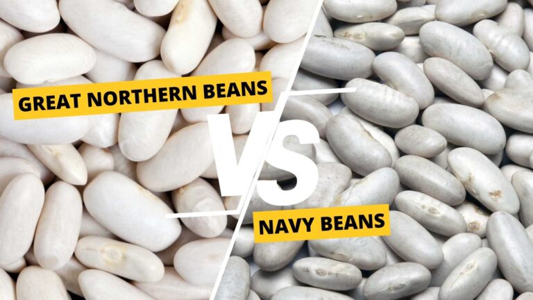 Great Northern Beans vs Navy Beans
