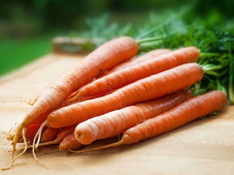 How To Store Carrots Without Refrigeration