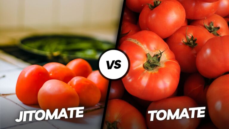 Jitomate vs Tomate