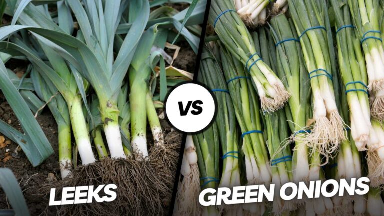 Leeks vs Green Onions