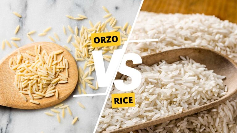 Orzo vs Rice