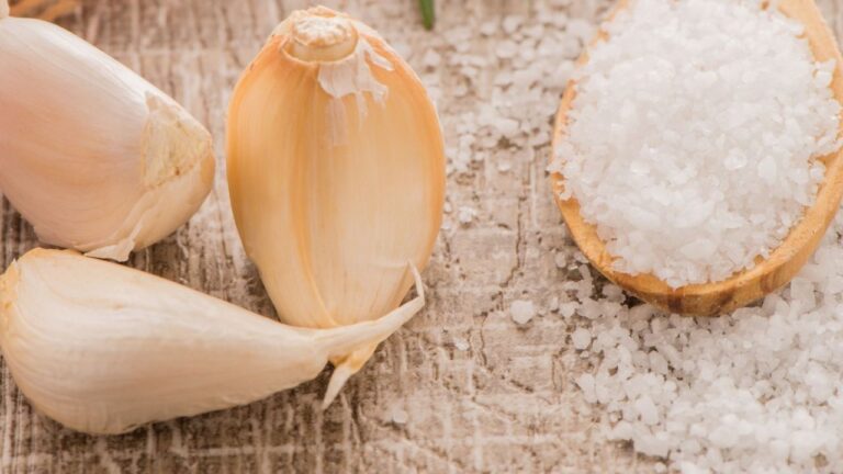 Substitutes for Onion Salt