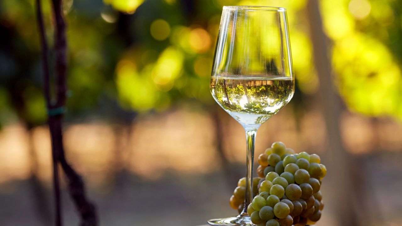 Substitutes for White Wine in Shrimp Scampi