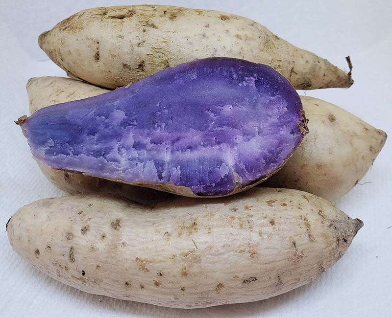Sweet Potato Recipe
