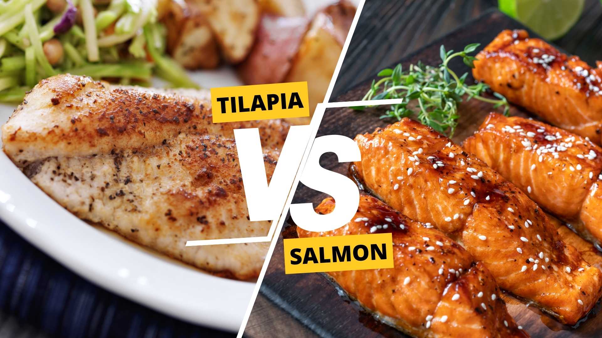 Tilapia vs Salmon